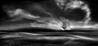 506 - RUSH IN DUNES - MUKHERJI SP - india <div